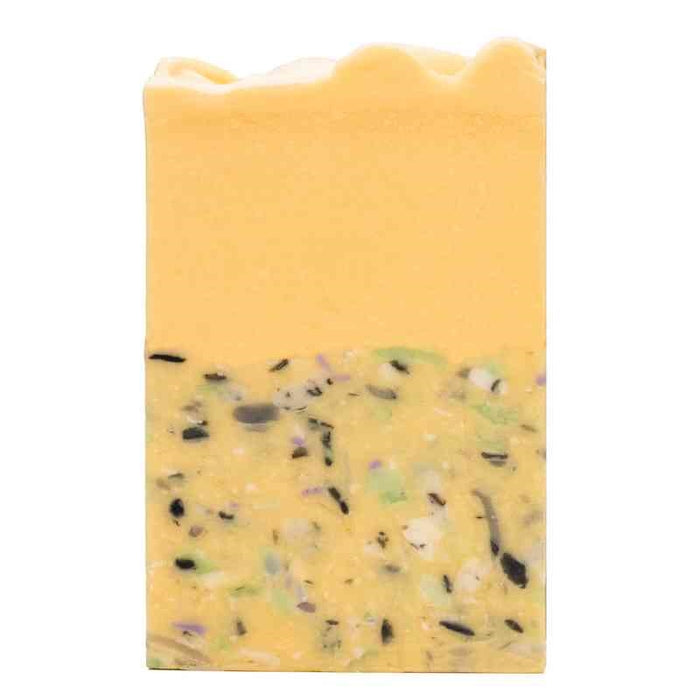 Badeanstalten | Sæbebar | Morgensang