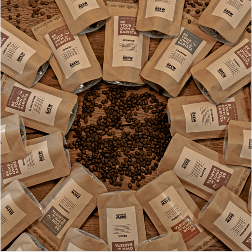Kaffejulekalender med hele bønner | The Brew Company