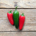 grøntsagsfrø til stærk chili