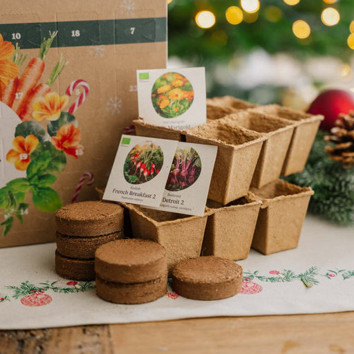 24 små låger med krydderurter, blomster og grøntsagsfrø, hver dag en ny overraskelse i denne unikke julekalender for haveentusiaster.