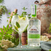 Warner's Elderflower Gin