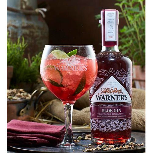 Warner's Sloe Gin